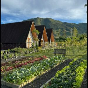 Villa Farmhouse