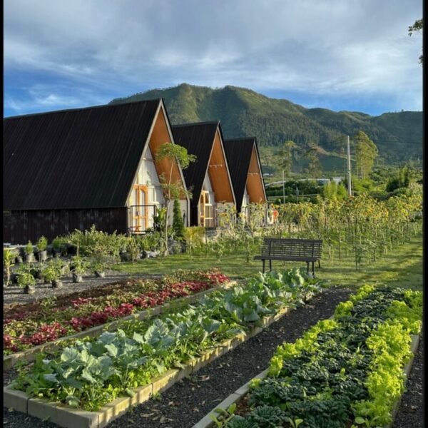 Villa Farmhouse