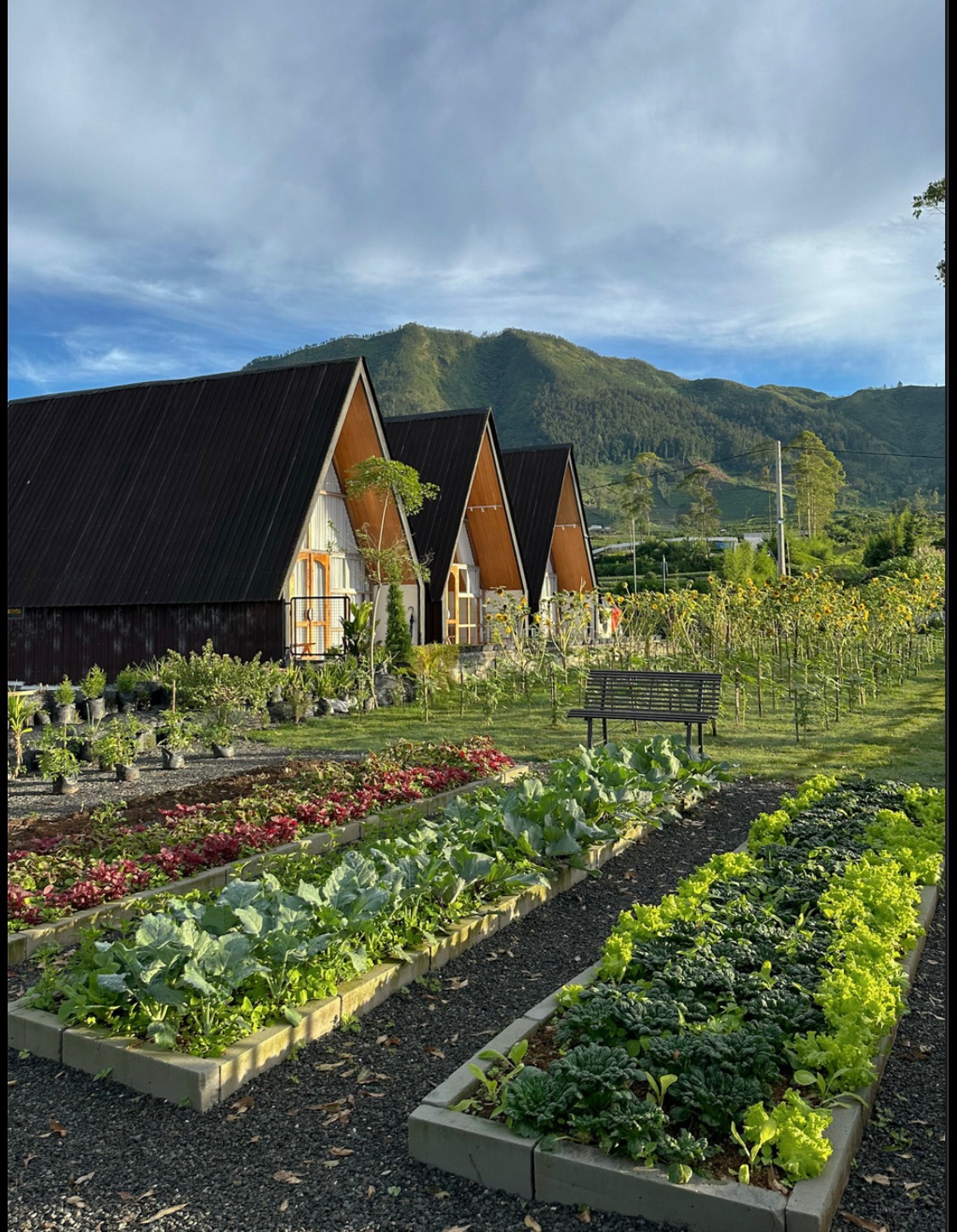 Villa Farmhouse